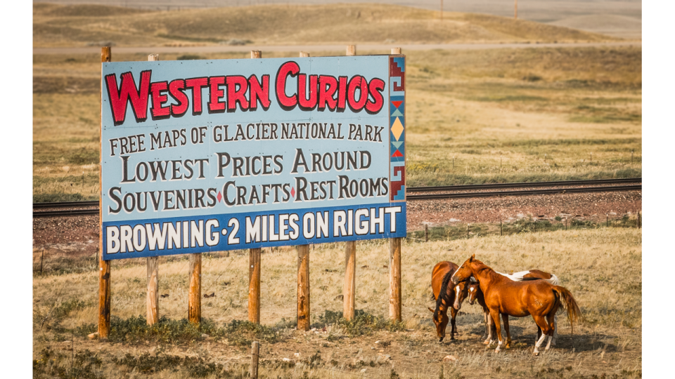 Cross-Country-photos-horses